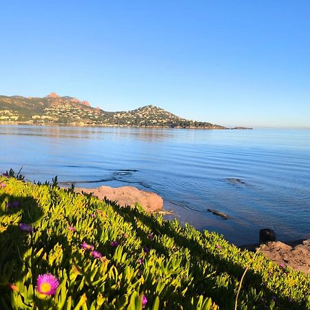 Vacances En Paradis Saint-Raphaël المظهر الخارجي الصورة