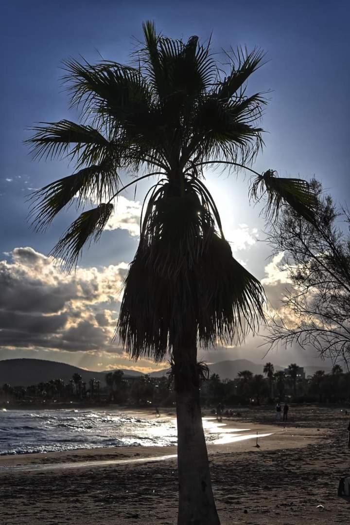 Vacances En Paradis Saint-Raphaël المظهر الخارجي الصورة