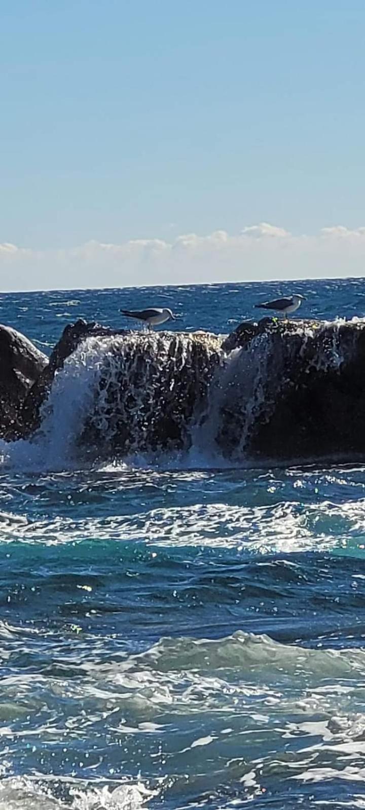Vacances En Paradis Saint-Raphaël المظهر الخارجي الصورة