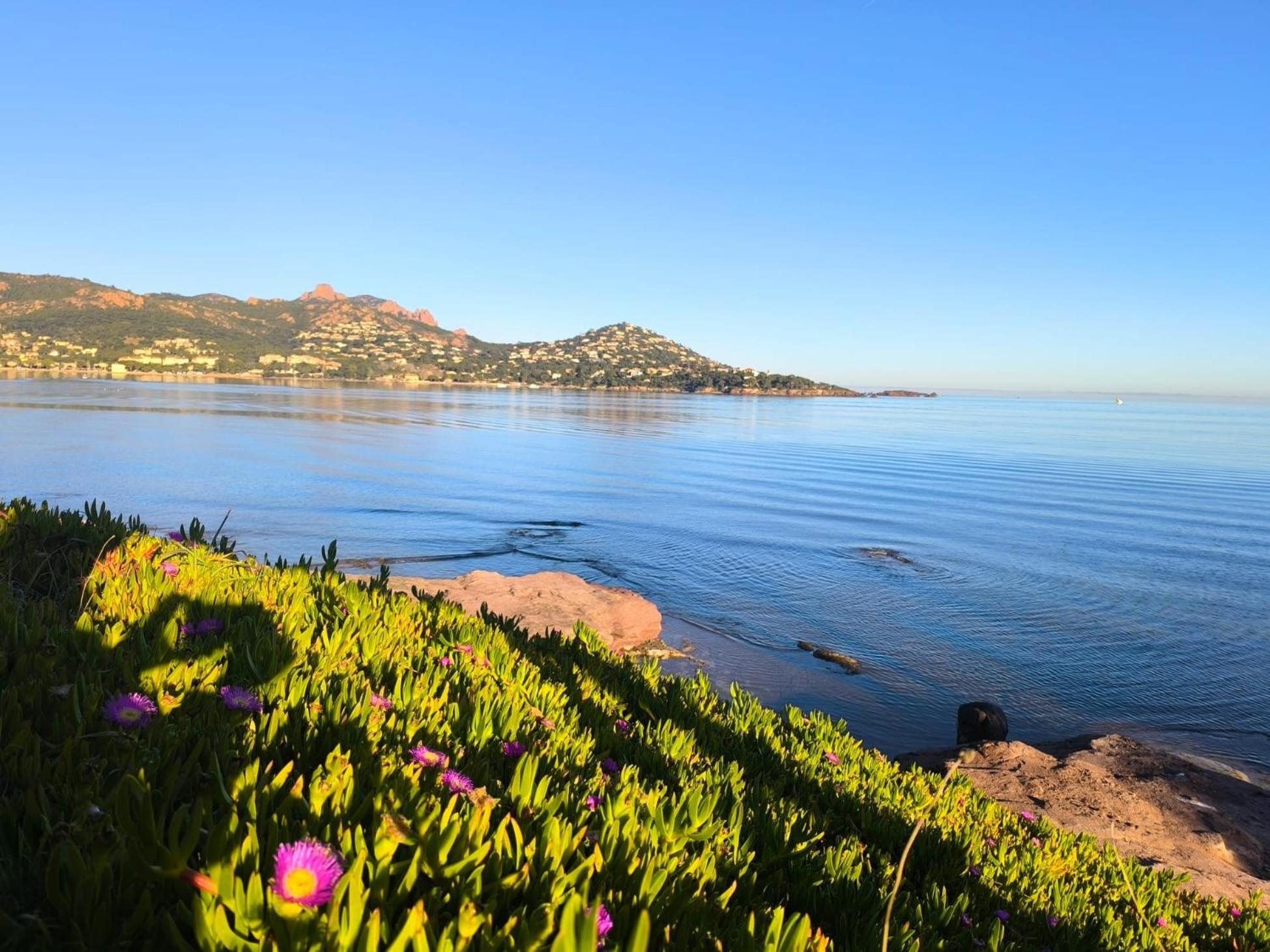Vacances En Paradis Saint-Raphaël المظهر الخارجي الصورة